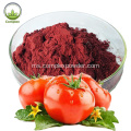 Lycopene Organik Lycopene Pure Lycopene dalam stok